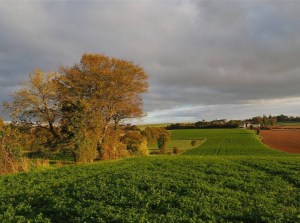 # c a m p a g n e   # b e r r y   # i g e r s f r a n c e   # a u t o m m e   # c h a m p s   # a r b r e s   # n a t u r e