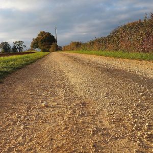 #chemin #terre #nature #campagne #berry #automne #igersfrance #arbres