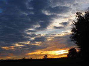 # c o u c h e r d e s o l e i l   # s o l e i l   # c a m p a g n e   # n a t u r e   # b e r r y   # i g e r s f r a n c e