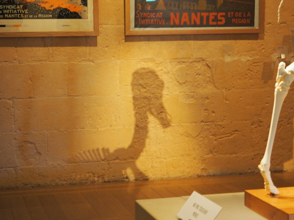 Blogs, Créatures et Tea&nbsp;Time