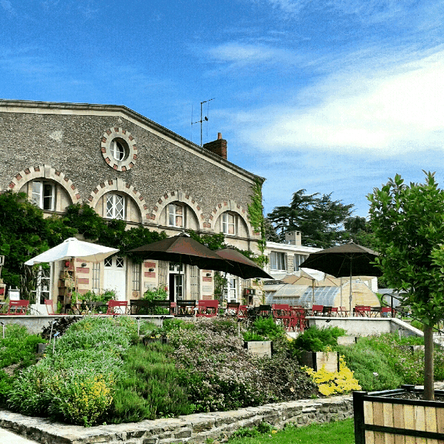 PicsArt_01-23-08.22.21