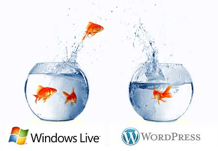 windows-live-space-to-wordpress