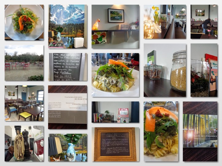 jardin des plantes collage